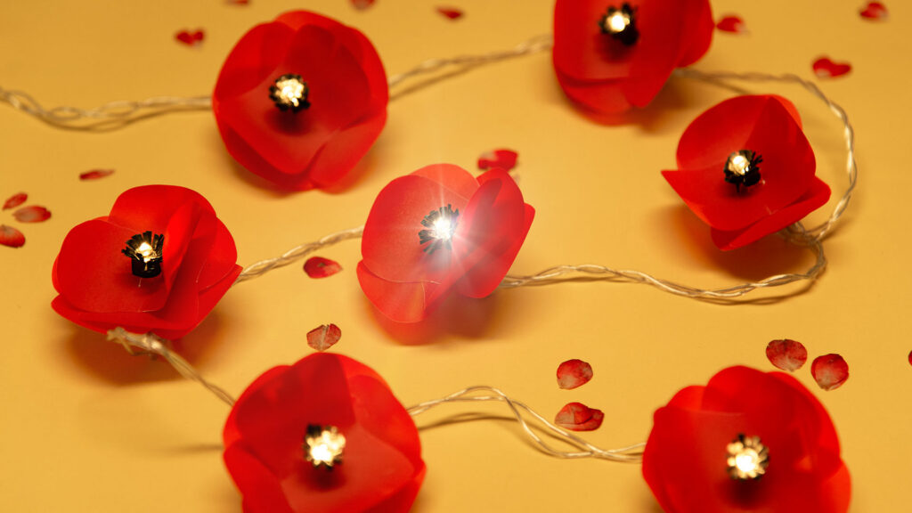 Mohnblumen-Lichterkette