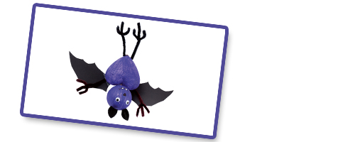 Fledermaus - Bild