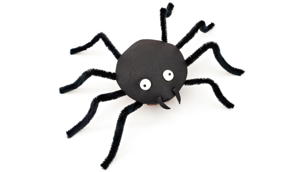Muffin-Spinne - Bild