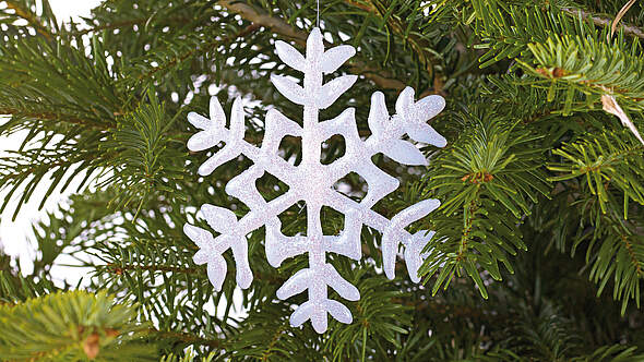 Flocke aus Schnee