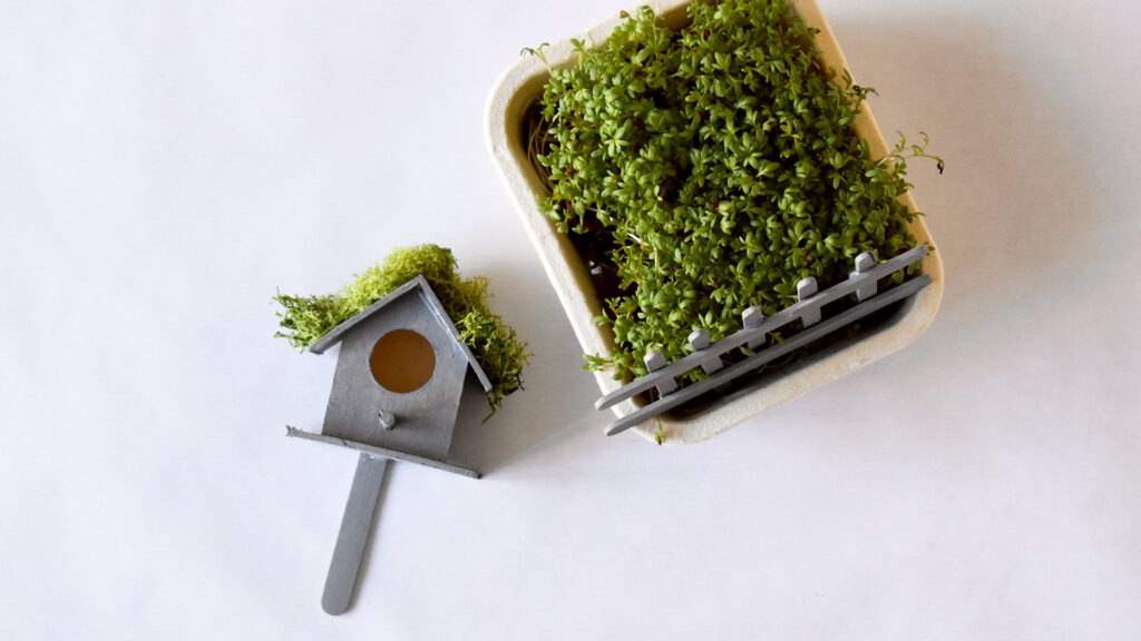 Mini-Vogelhaus - Schritt 5