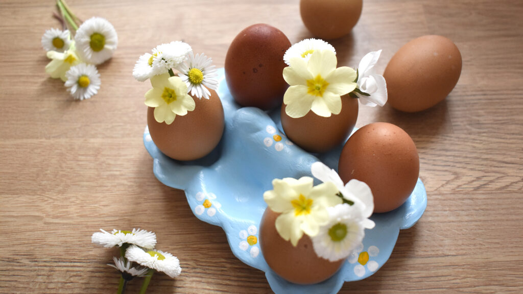 Eier-Ablage